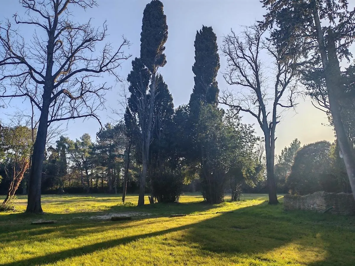 Authentique Mas Provencal Avec Son Grand Parc Villa Orange